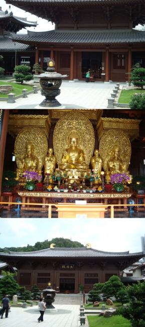 DSC03724-vert.jpg